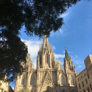 cathedrale - barrio Gotico