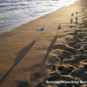 liberte du programme running and coaching